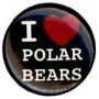 I Love Polar Bears 1